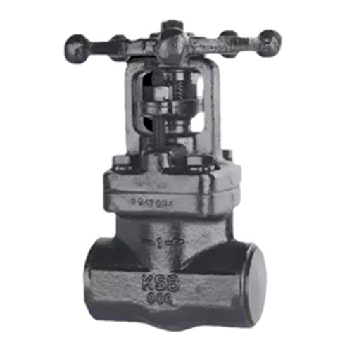 KsbForged Steel Gate Valve