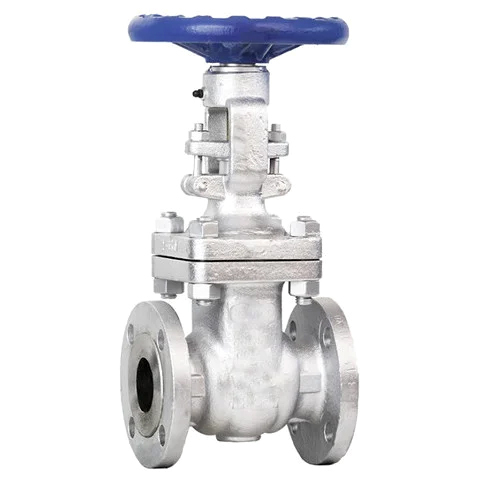 Flanged End Mild Steel Gate Valve