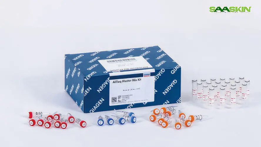 Qiagen QIAfilter Plasmid Midi Kit (100)