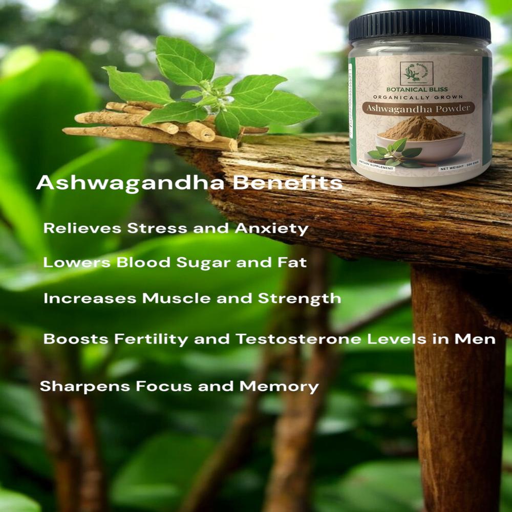 Ashwagandha Powder - Packaging Type: Jar