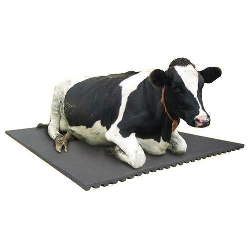 Cow Mat - Heavy - Application: Veterinary Purpose