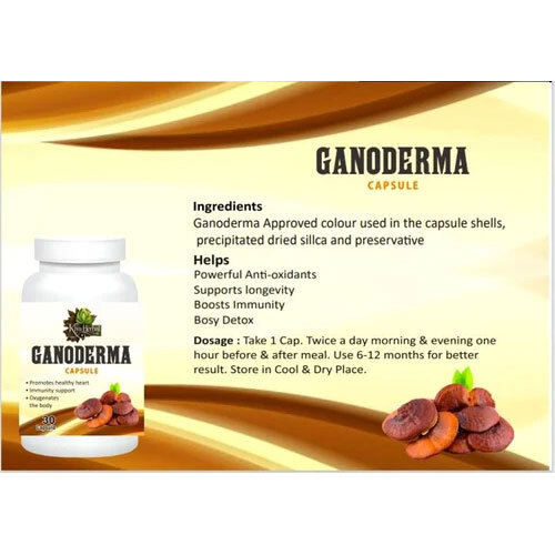 Ganoderma Softgel Capsule