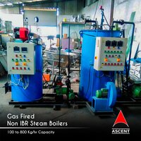 Electrical Non IBR Steam Boiler