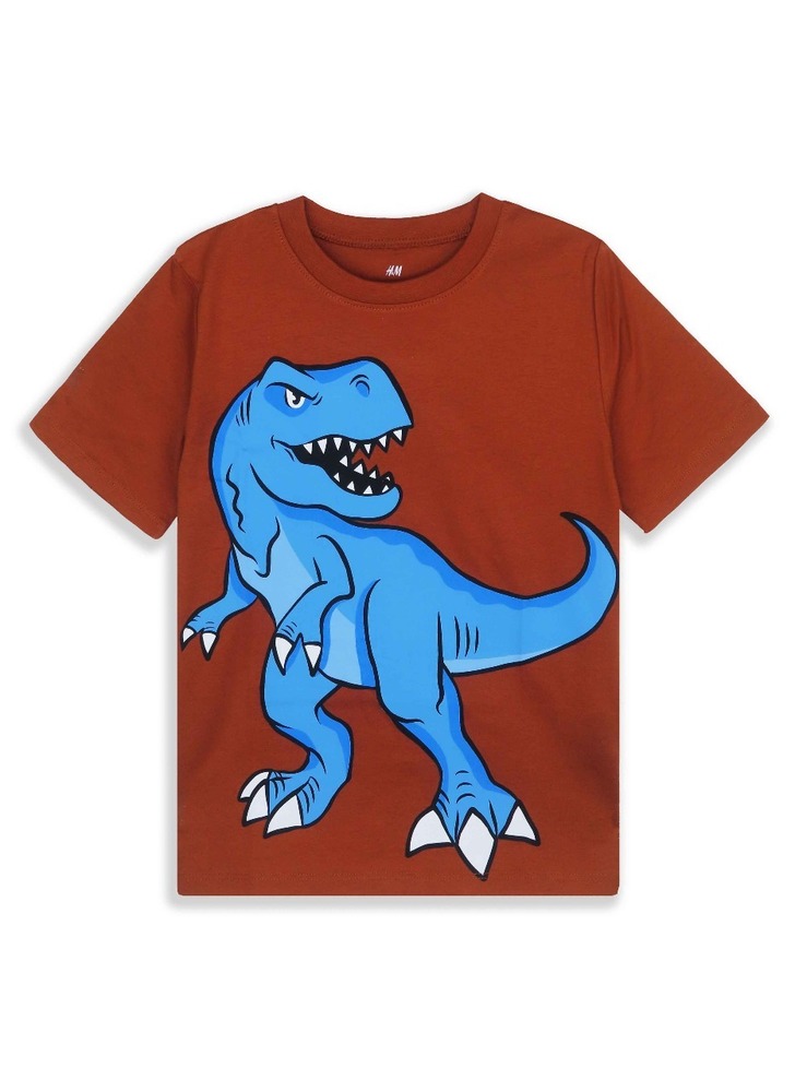 Boys Printed Orange T Shirt