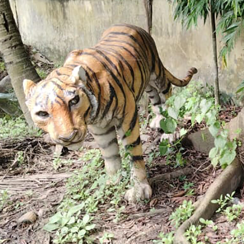 Tiger Statue - Color: Brown