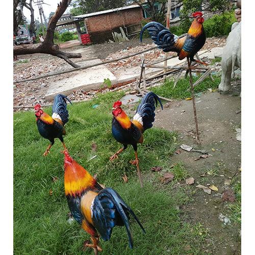 Rooster Statue - Material: Fiber