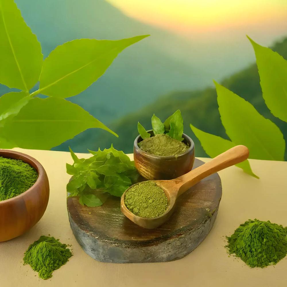Tulsi Powder - Origin: India