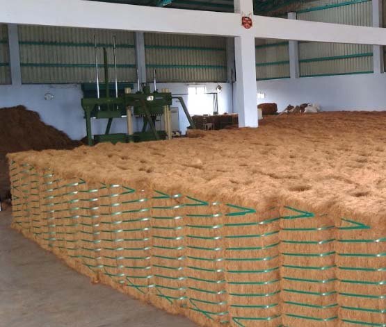 Coir fiber