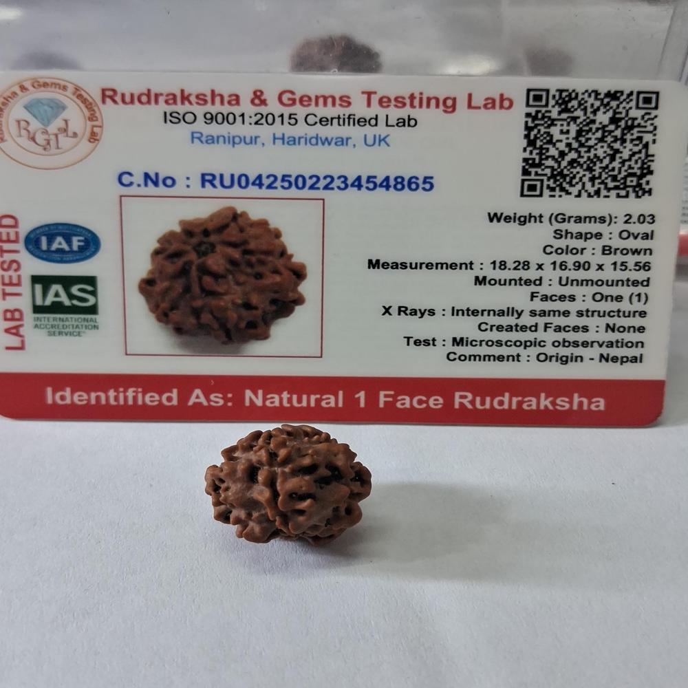 Ek mukhi Nepali Rudraksha Natural Beads