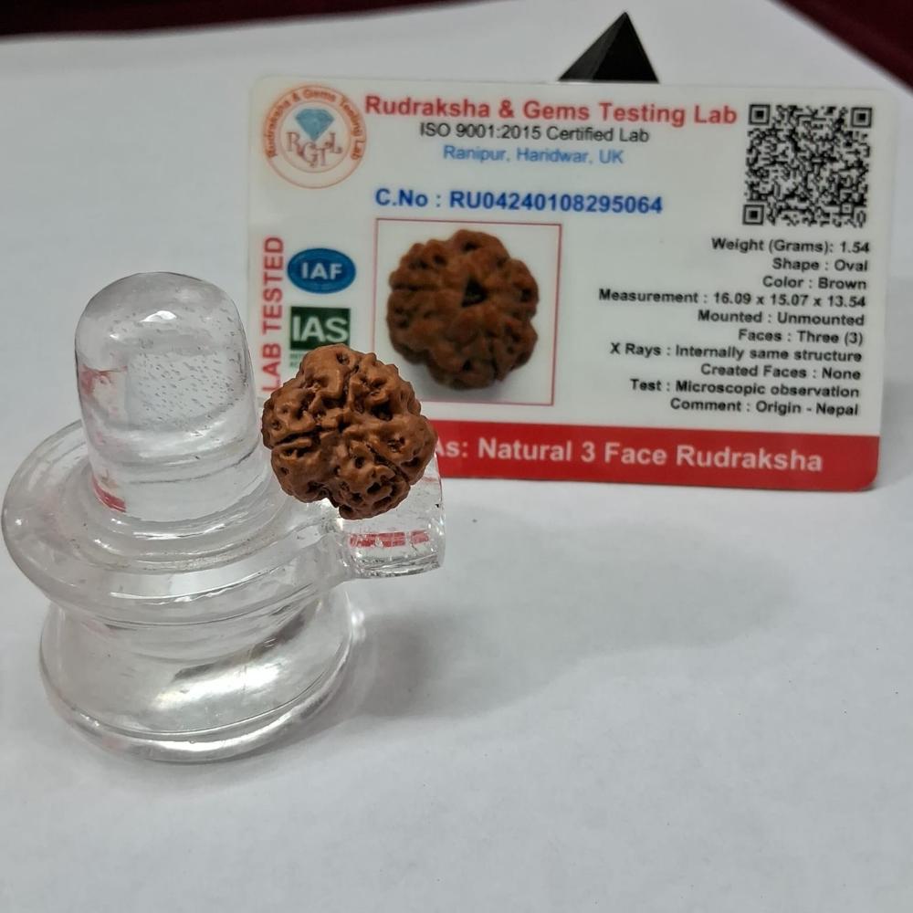 3 mukhi Nepali Rudraksha Natural Beads