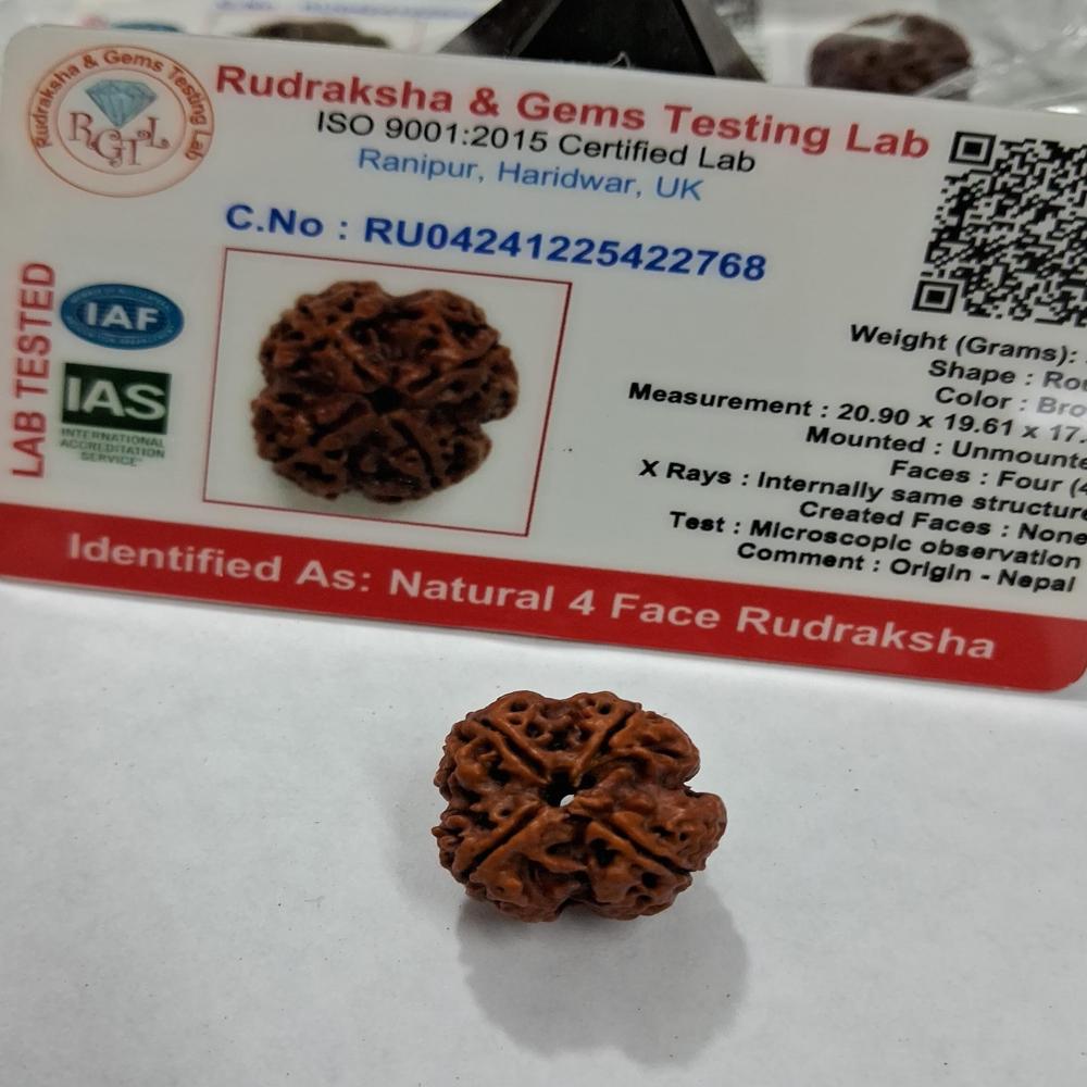 4 mukhi Nepali Rudraksha Natural Beads
