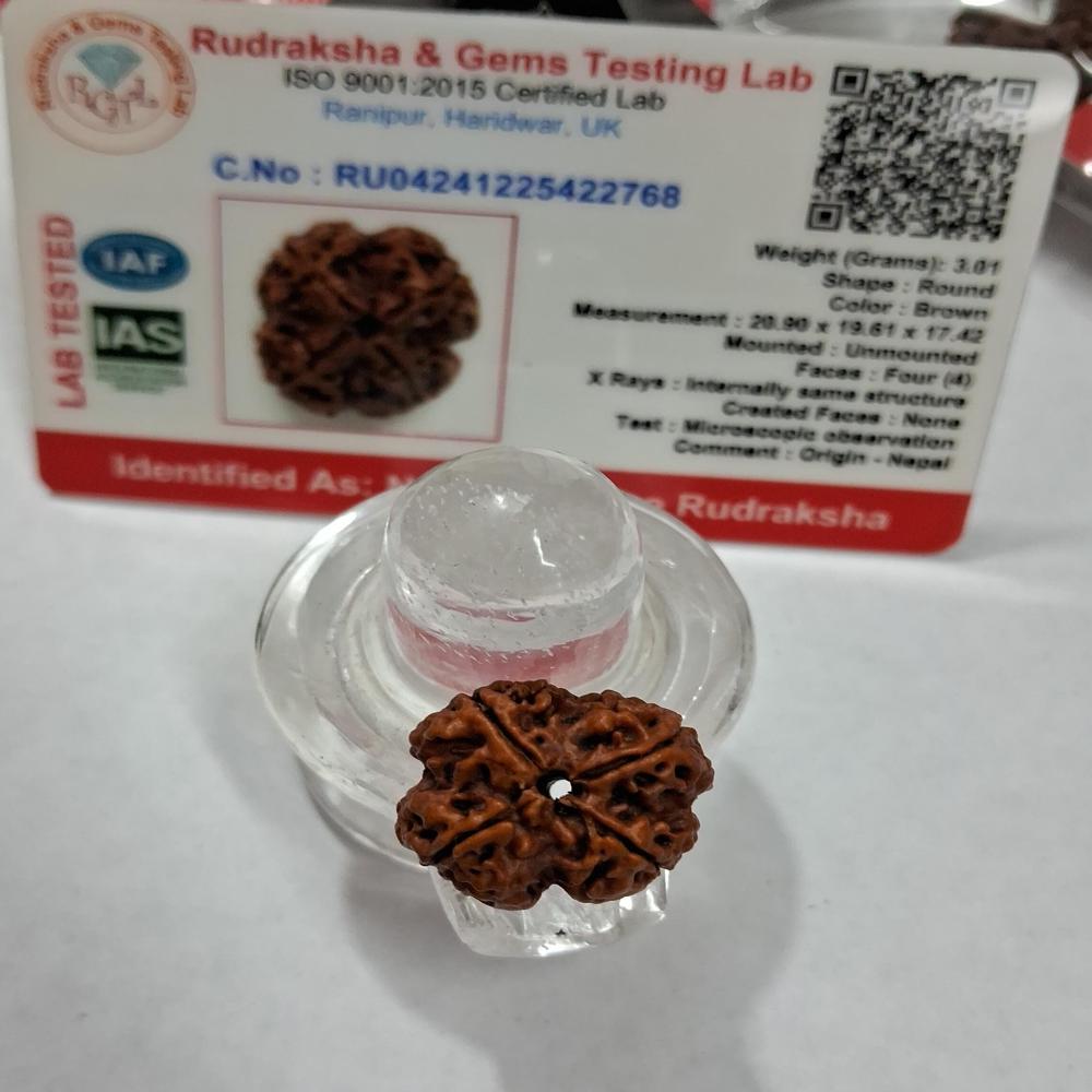 4 mukhi Nepali Rudraksha Natural Beads