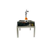 Laboratory Ampoule Washing Machine - Color: Silver
