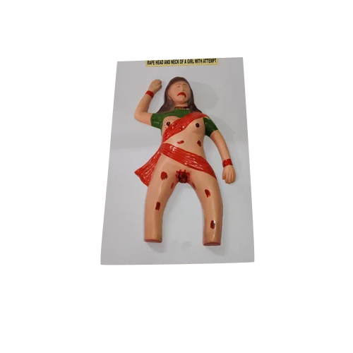 Forensic Models