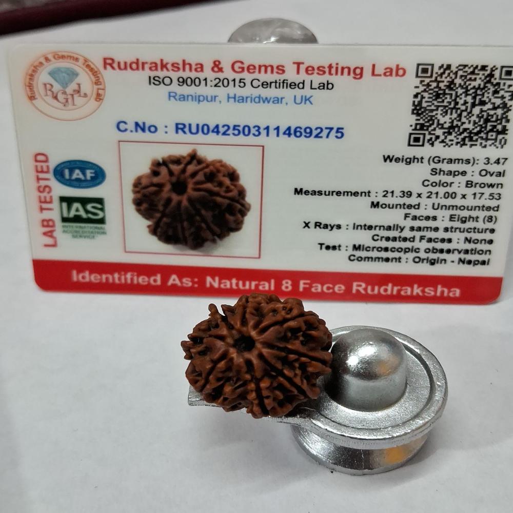 8Mukhi Nepali Rudraksha Natural Beads