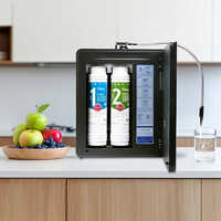 Tyent NMP-9 Series Water Ionizer