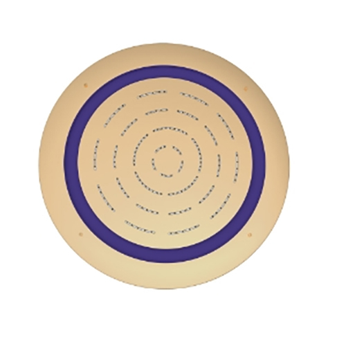 Auric Gold Maze Prime Round Shape Single Function Shower