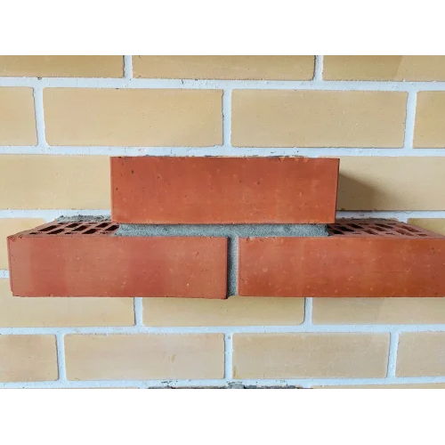 Multi Hole Exposed Bricks