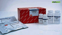 Qiagen Turbocapture 96 Mrna Kit (5) - Mrna Extraction Kit For High-throughput Applications | Fast Procedure, Unique Oligonucleotide Immobilization Technology