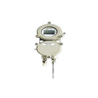 Resistance Temperature Detector With Local Indication - Color: Grey
