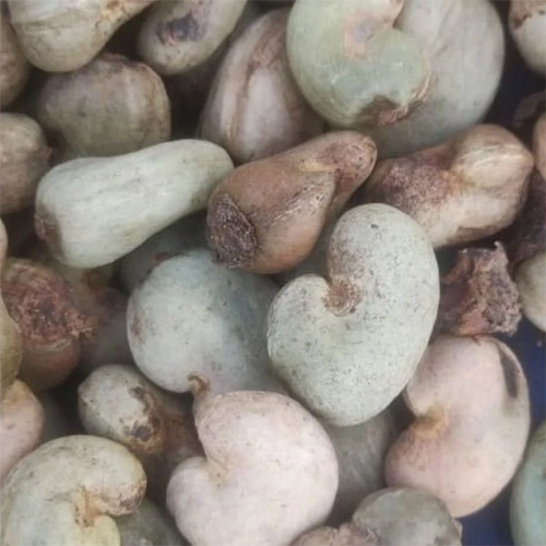 Raw Cashew Nuts