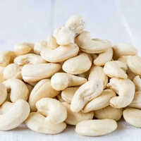 W240 Fresh Cashew Nut