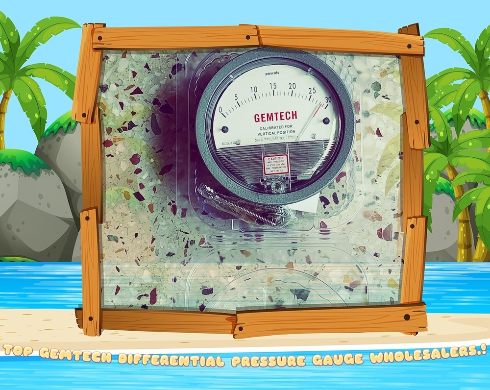 GEMTECH Differential Pressure Gauge In Murbad Industrial Area Maharashtra India