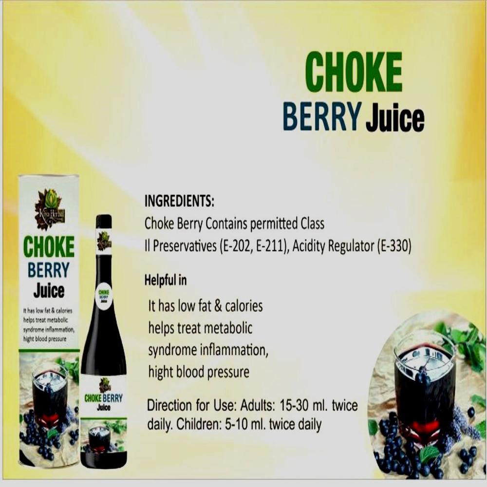 Bulk chokeberry juice 500ML