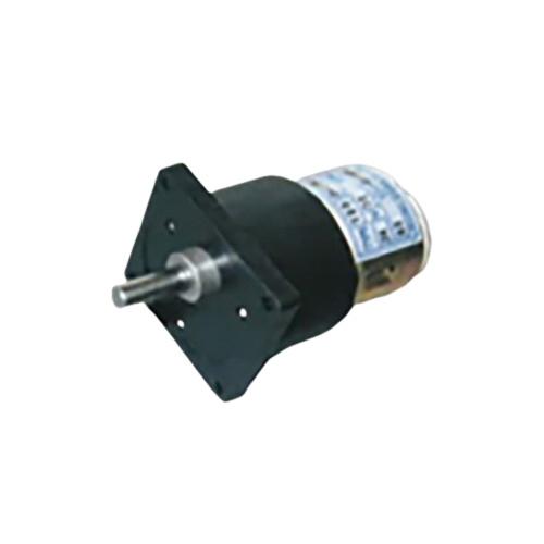Tsd12-24 Bg Type Dc Gear Motor - Frequency (Mhz): 50 Hertz (Hz)