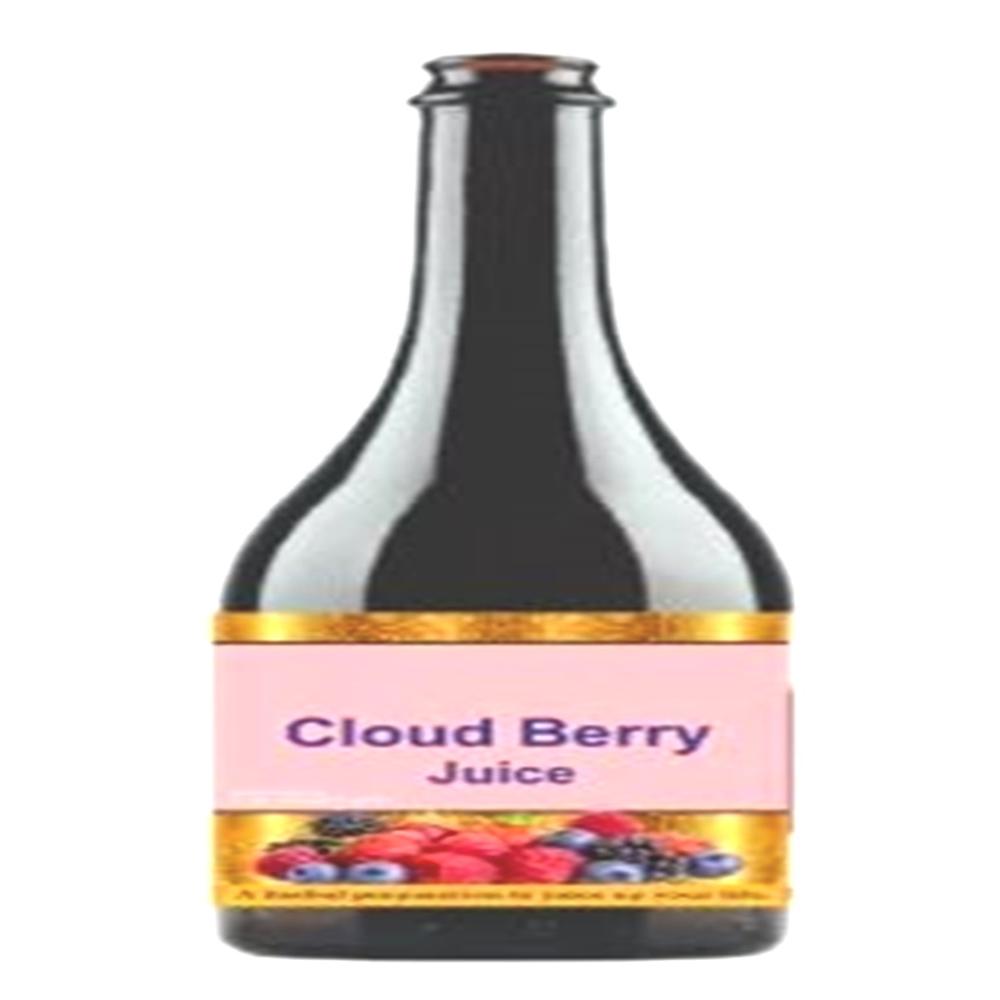 Wholesale cloudberry juice 500ML