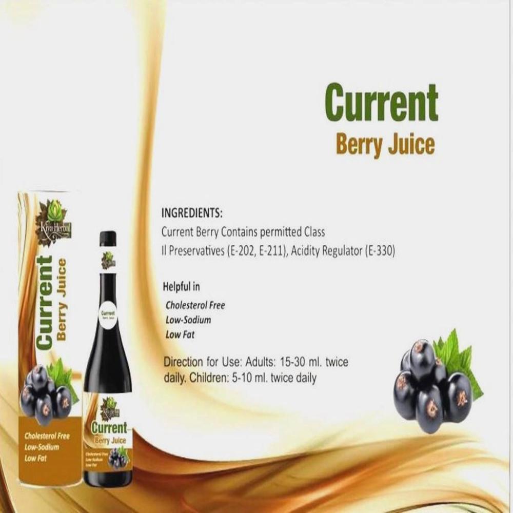 Bulk black currant juice 1000ML
