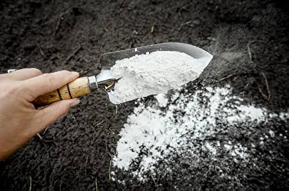 Dolomite Powder