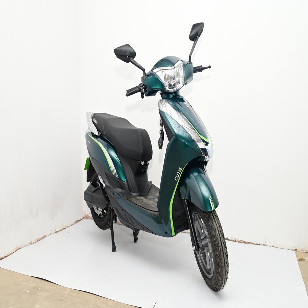 Ace Electric Scooter - Input Voltage: 48 Volt (V)