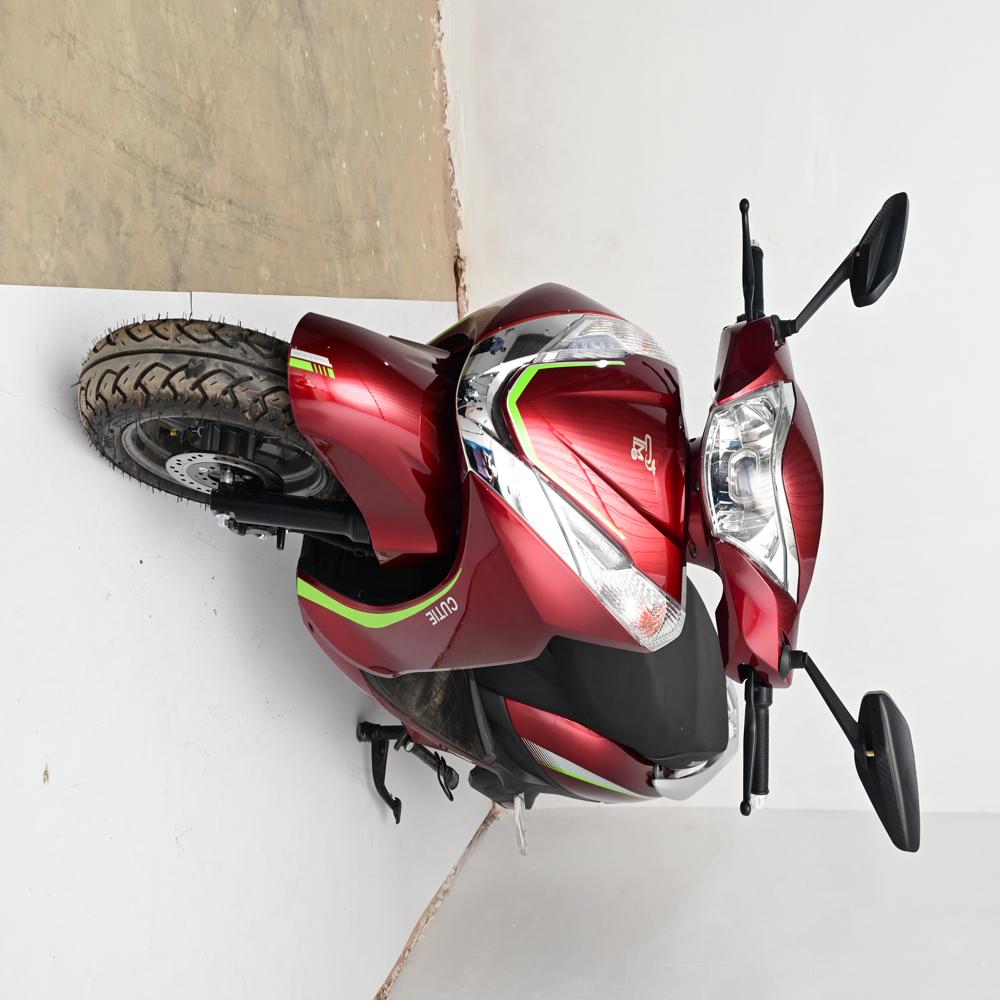 Ace Electric Scooter - Input Voltage: 48 Volt (V)