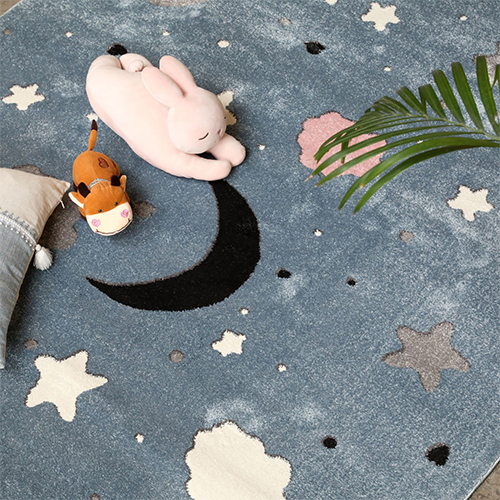Bala 8741 Floor Rugs