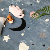 Bala 8741 Floor Rugs