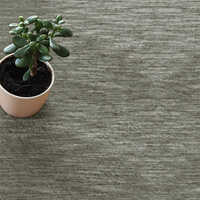 Canon Wall To Wall Carpets
