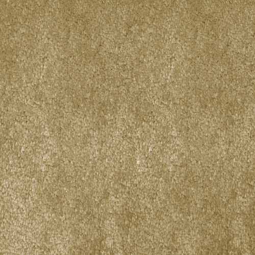 Good Vibes Wall To Wall Carpets