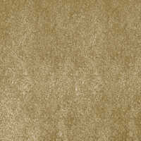 Good Vibes Wall To Wall Carpets