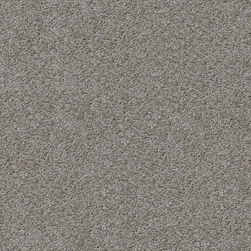 Grand Terrain Wall To Wall Carpet