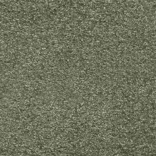 Grandeur Wall To Wall Carpet