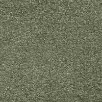 Grandeur Wall To Wall Carpet