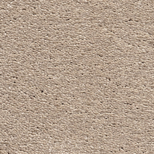 Magnificus Wall To Wall Carpet