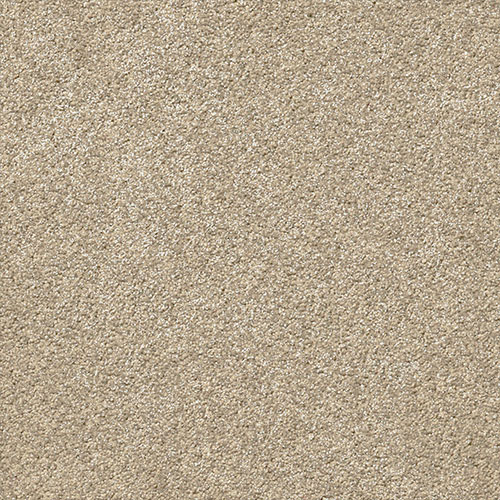 Momentum Wall To Wall Carpet