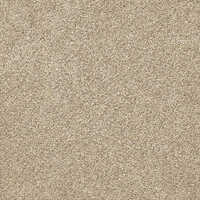 Momentum Wall To Wall Carpet