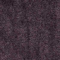 Radiant Wall To Wall Carpet