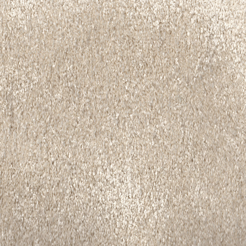 Royale Plus Wall To Wall Carpet