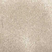 Royale Plus Wall To Wall Carpet