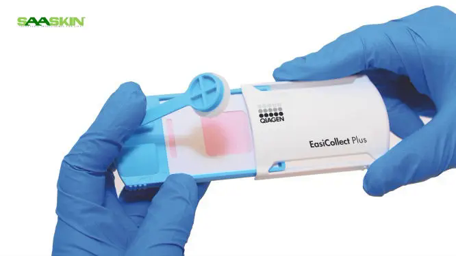 Qiagen EasiCollect Plus (50)
