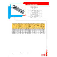 Accumulator Roller Chain - Size: Standard